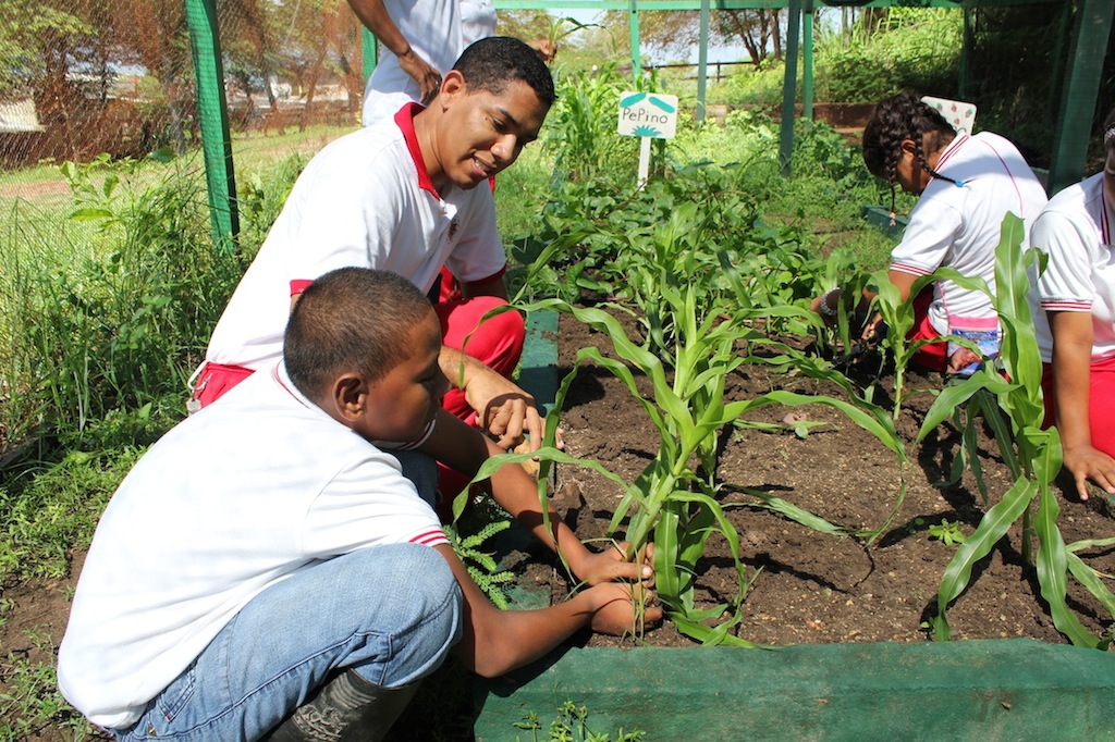 Ein Gruppe junger Erwachsener mit geistiger Behinderung pflanzt im Garten Mais.